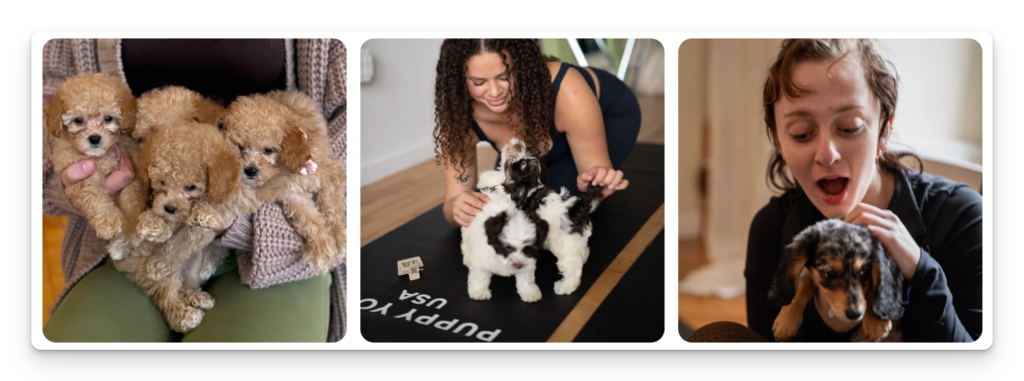 Puppy Yoga Corporate Event STUDIOS